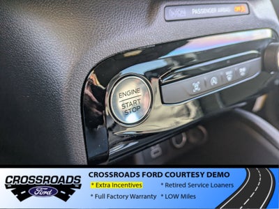 2025 Ford Escape ST-Line - Crossroads Courtesy Demo