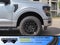 2026 Ford F-150 XLT- Crossroads Courtesy Demo