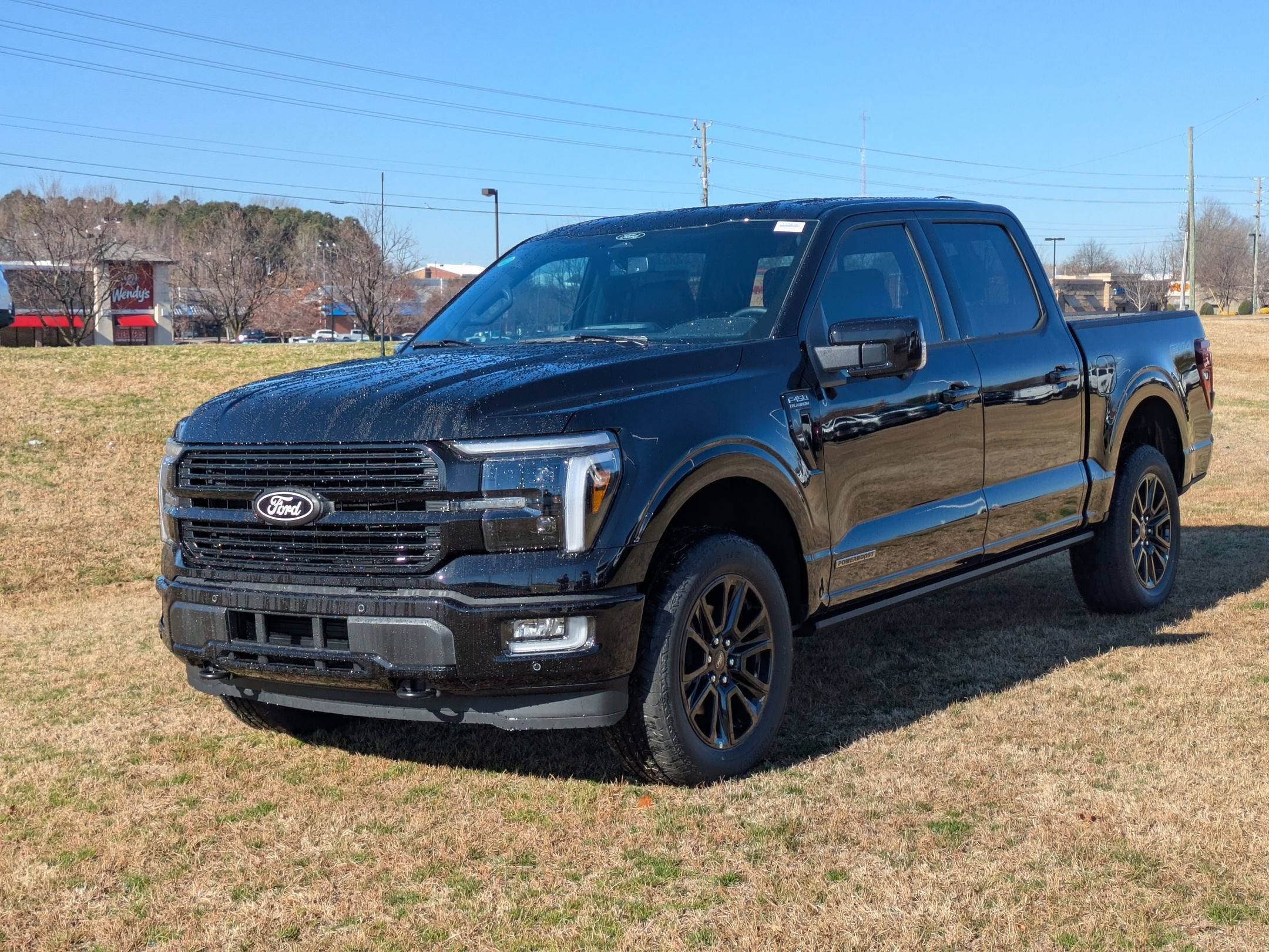 2025 Ford F-150 Platinum