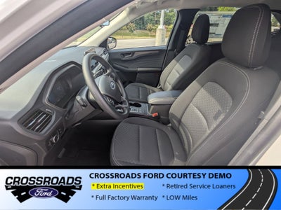 2025 Ford Escape Active - Crossroads Courtesy Demo