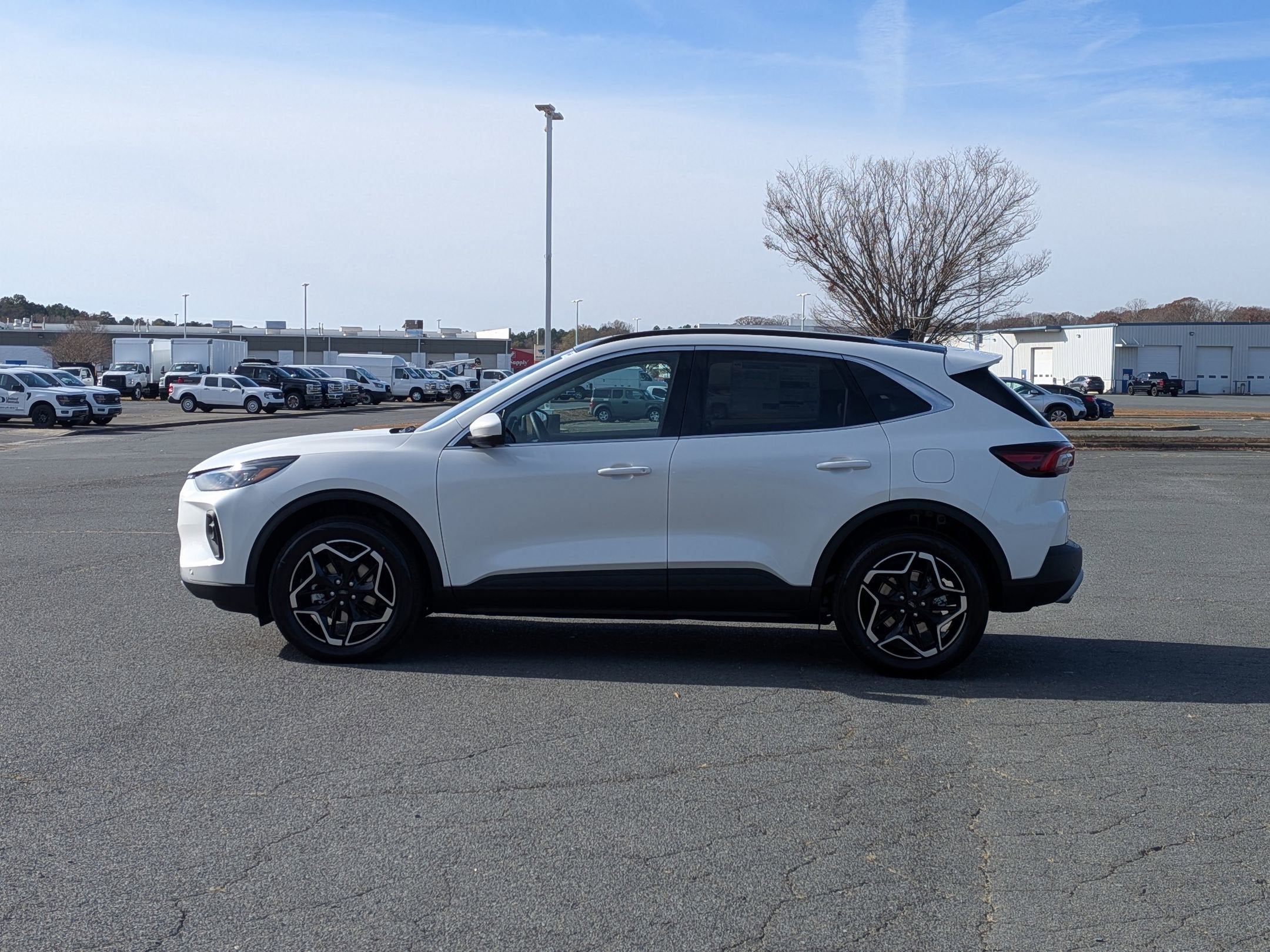 2026 Ford Escape Platinum