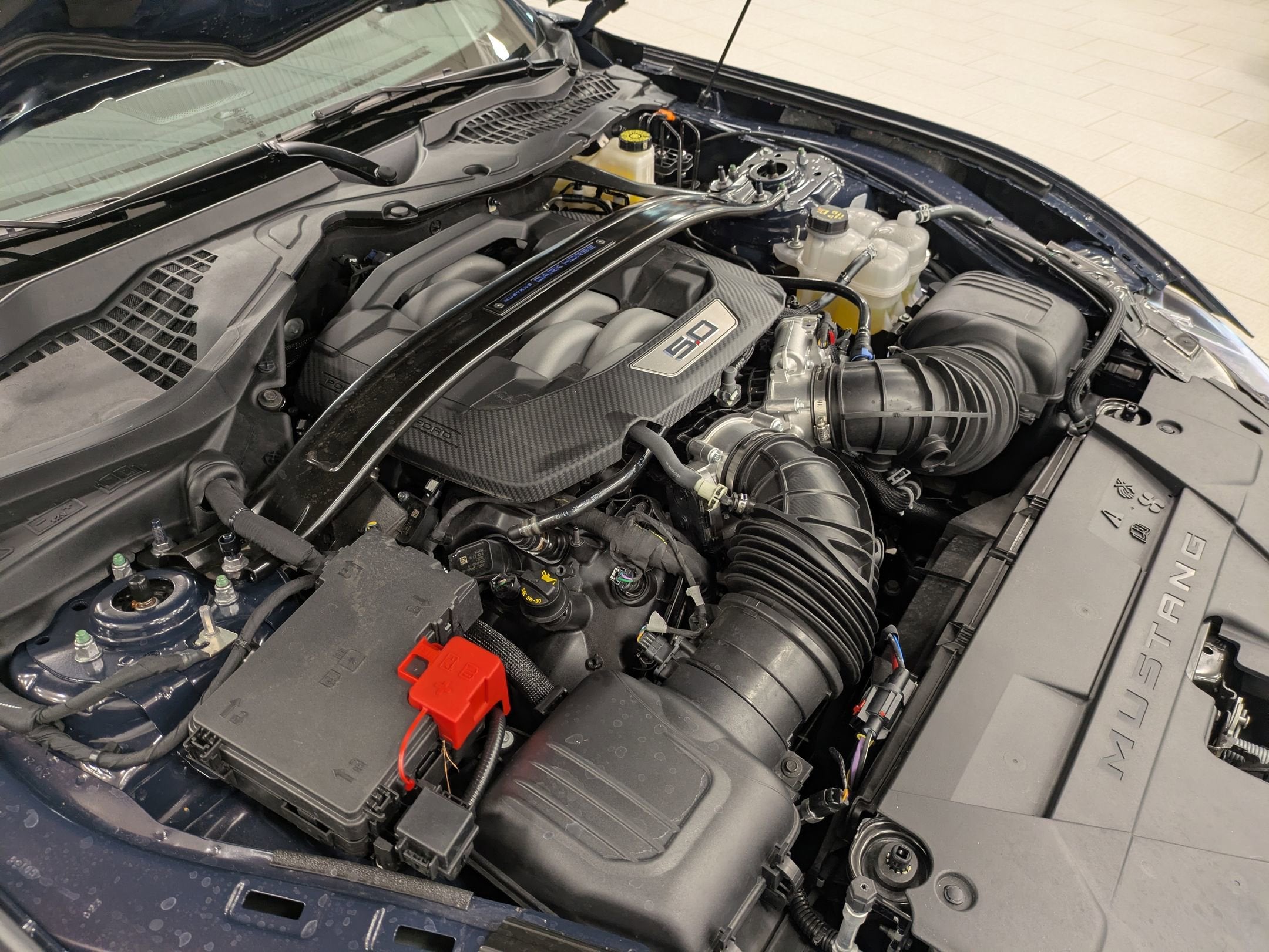 2025 Ford Mustang Dark Horse