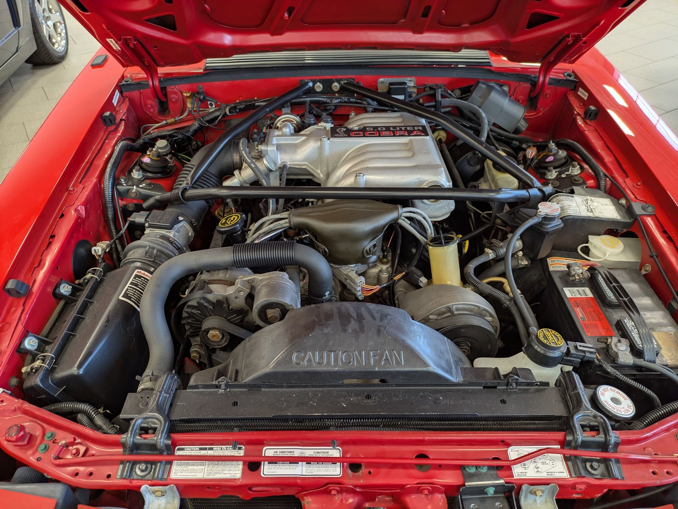 1993 Ford Mustang SVT Cobra R