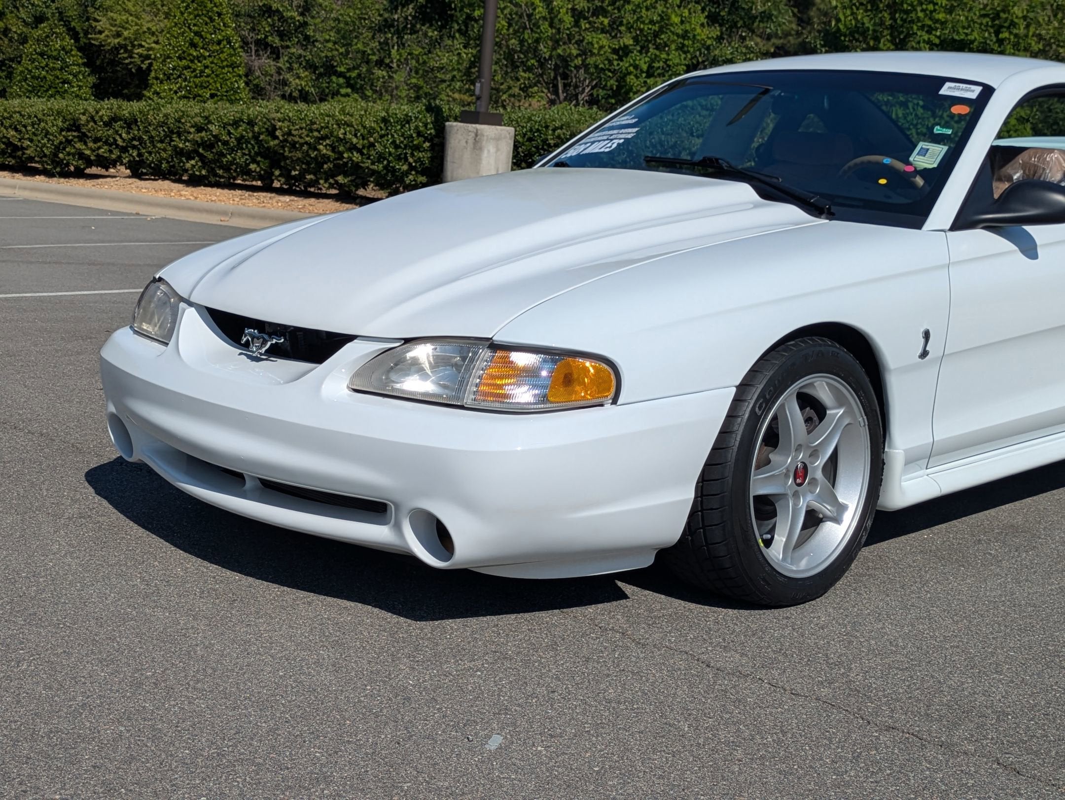 1995 Ford Mustang SVT Cobra R