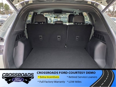 2025 Ford Escape ST-Line Elite - Crossroads Courtesy Demo