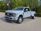 2025 Ford Super Duty F-450 DRW Platinum