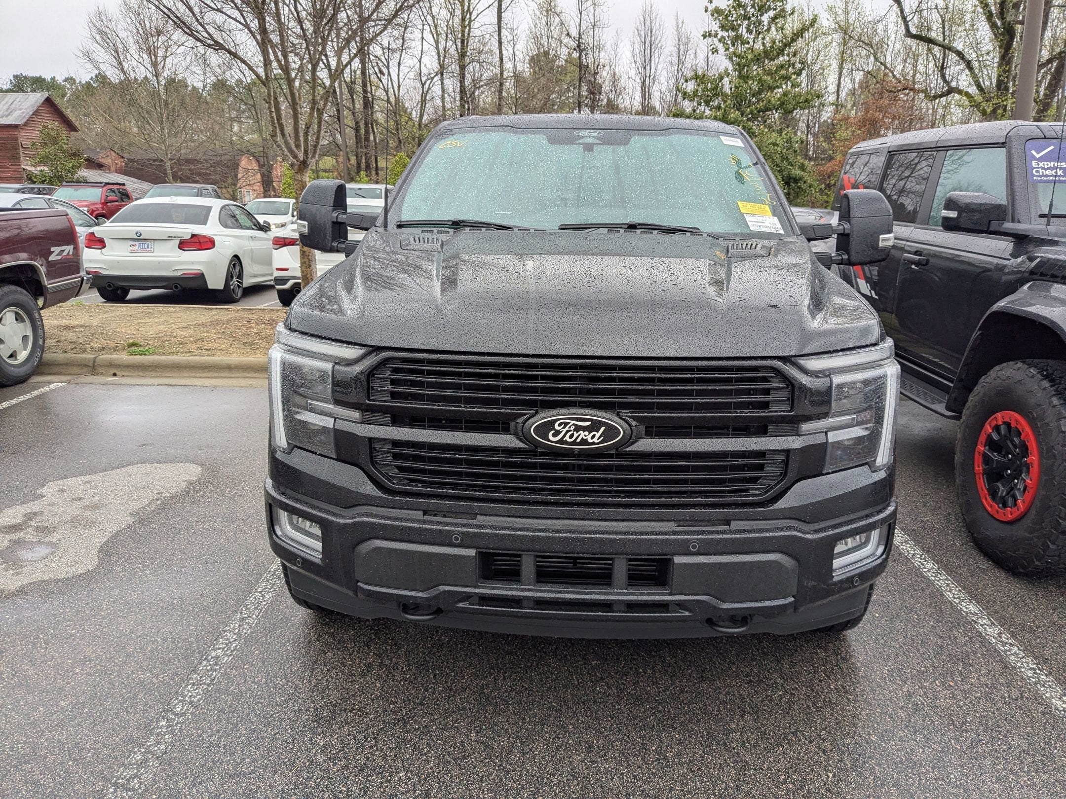 2025 Ford F-150 Platinum