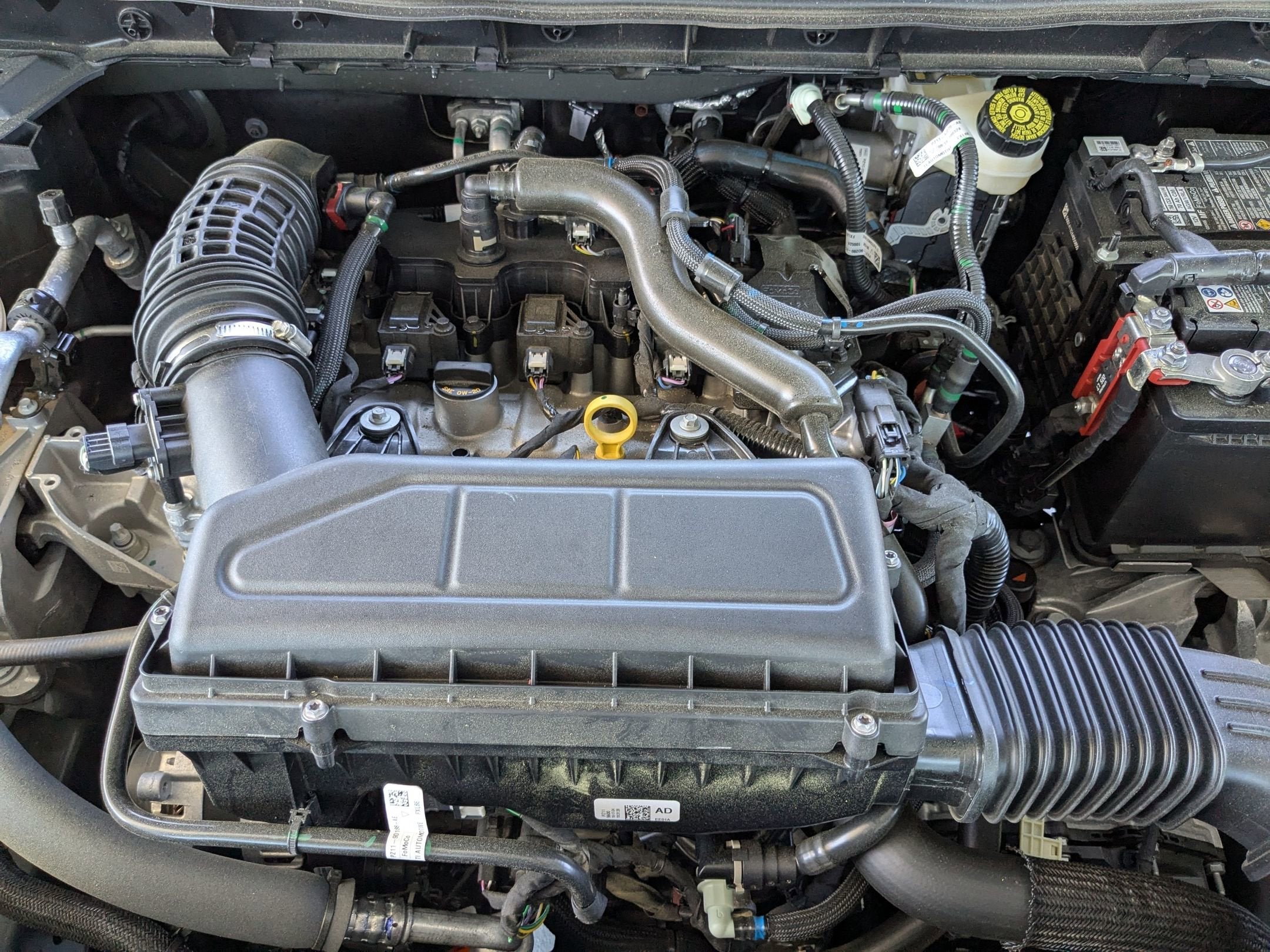 2025 Ford Escape ST-Line - Crossroads Courtesy Demo